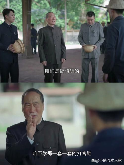 爱情鸟免费视频在线观看的相关介绍