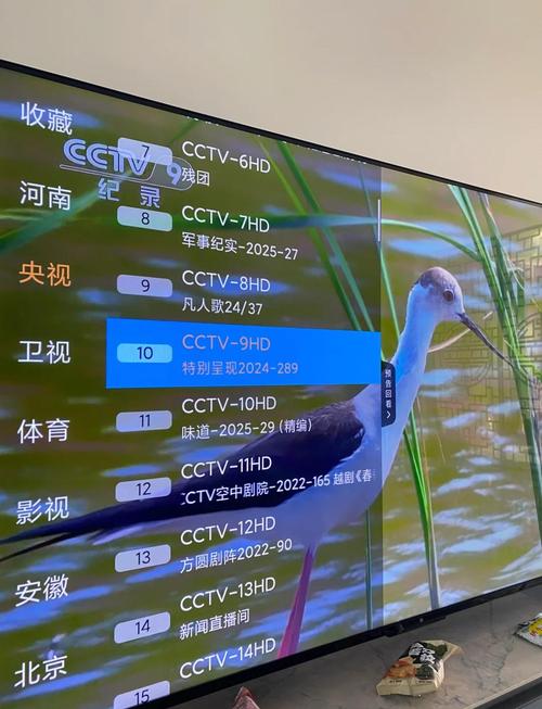 赖猫的狮子倒影免费观看星辰网的相关介绍